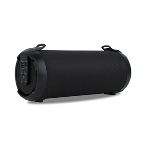 HAUT PARLEUR PORTABLE NGS Bluetooth/USB/SD/AUX IN