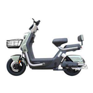 Scooter Électrique ECORIDE 1000 Watts - Vert Clair